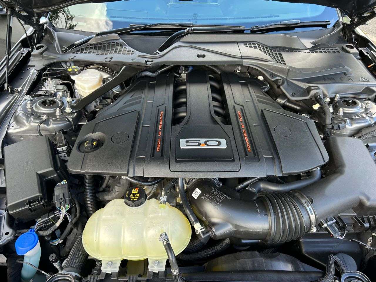 2022 FORD MUSTANG 2022 FORD MUSTANG