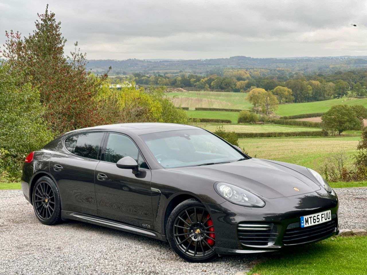 2015 PORSCHE PANAMERA 2015 PORSCHE PANAMERA