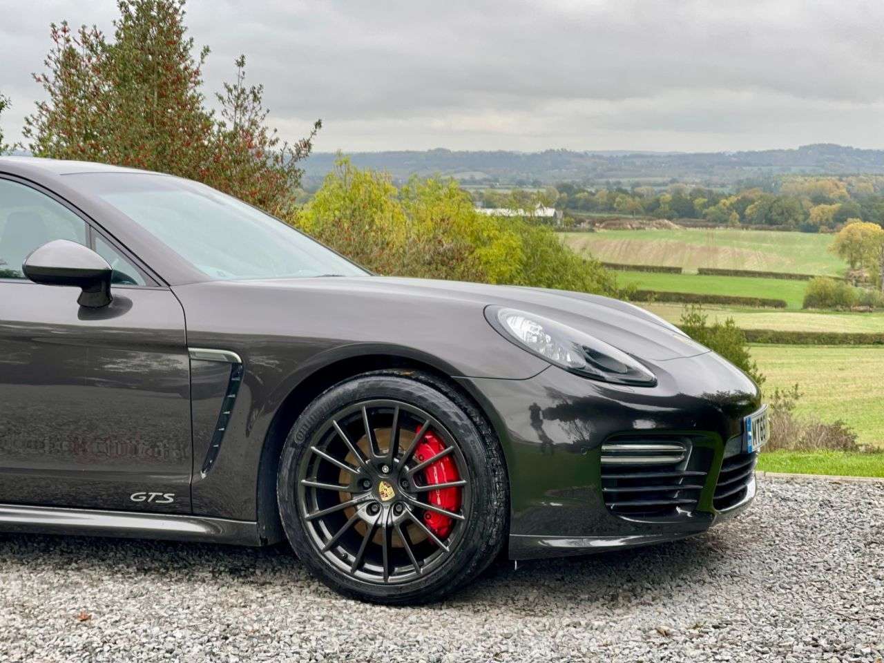 2015 PORSCHE PANAMERA 2015 PORSCHE PANAMERA