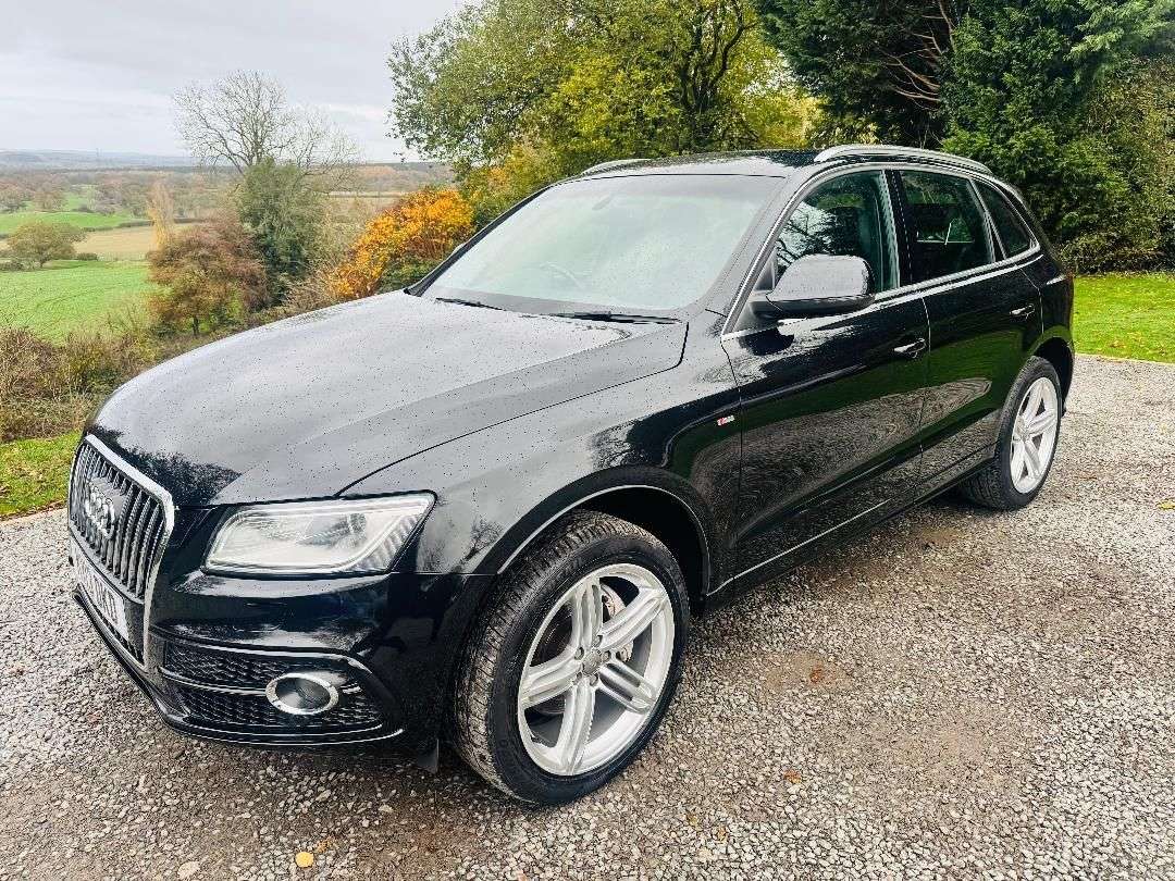 2013 AUDI Q5 2013 AUDI Q5