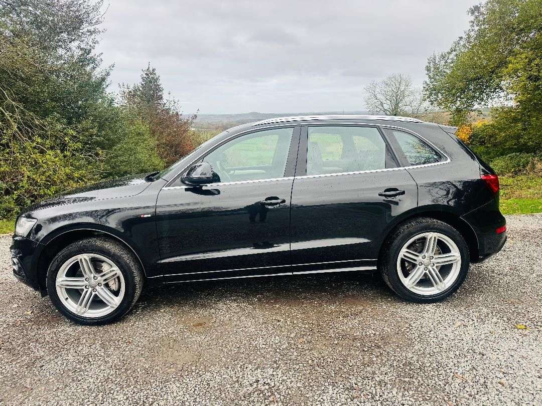2013 AUDI Q5 2013 AUDI Q5