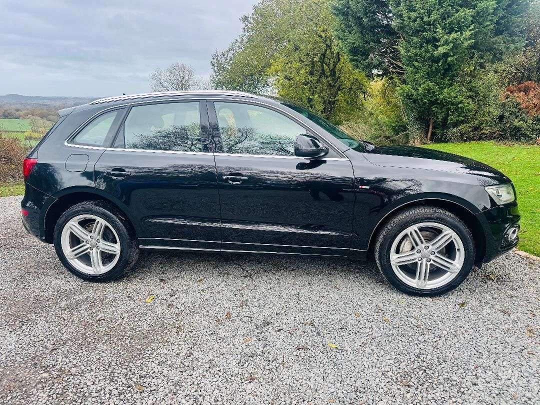 2013 AUDI Q5 2013 AUDI Q5