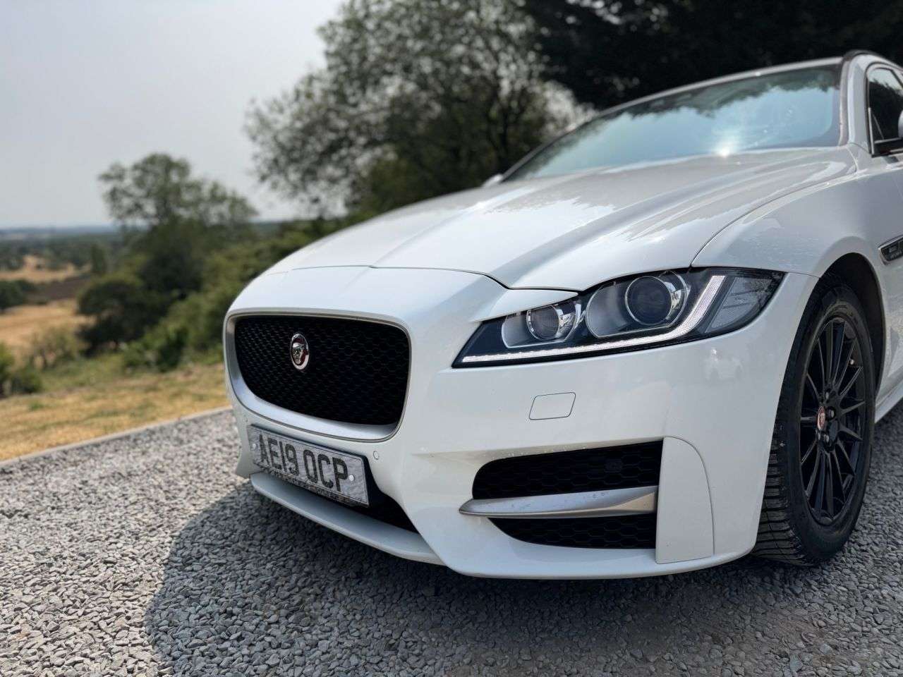 2019 JAGUAR XF 2019 JAGUAR XF