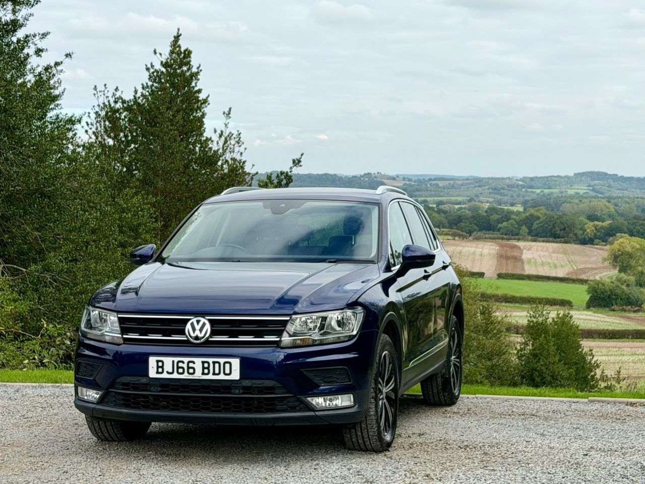 2016 VOLKSWAGEN TIGUAN 2016 VOLKSWAGEN TIGUAN