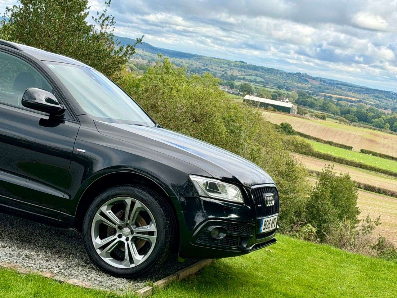 2015 AUDI Q5 2015 AUDI Q5