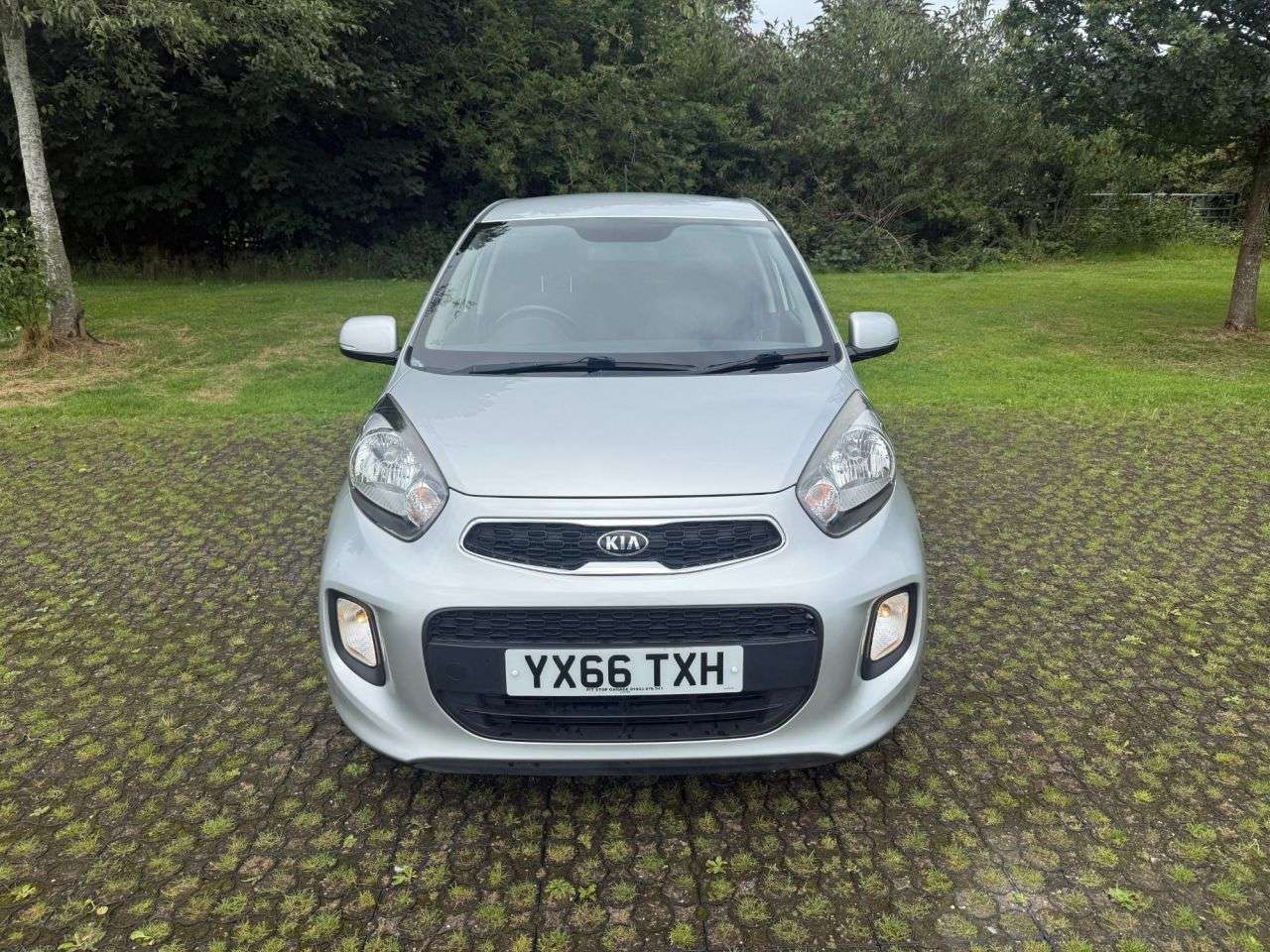2016 KIA PICANTO 2016 KIA PICANTO
