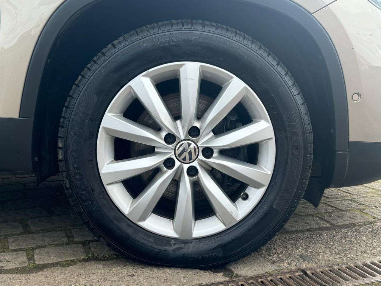 2015 VOLKSWAGEN TIGUAN 2015 VOLKSWAGEN TIGUAN