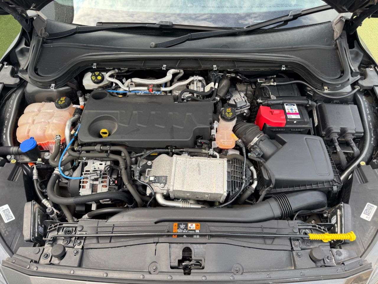 2022 FORD FOCUS 2022 FORD FOCUS