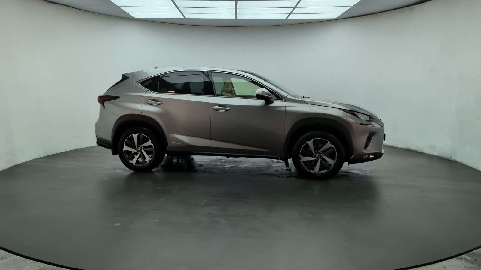2019 LEXUS NX 2019 LEXUS NX