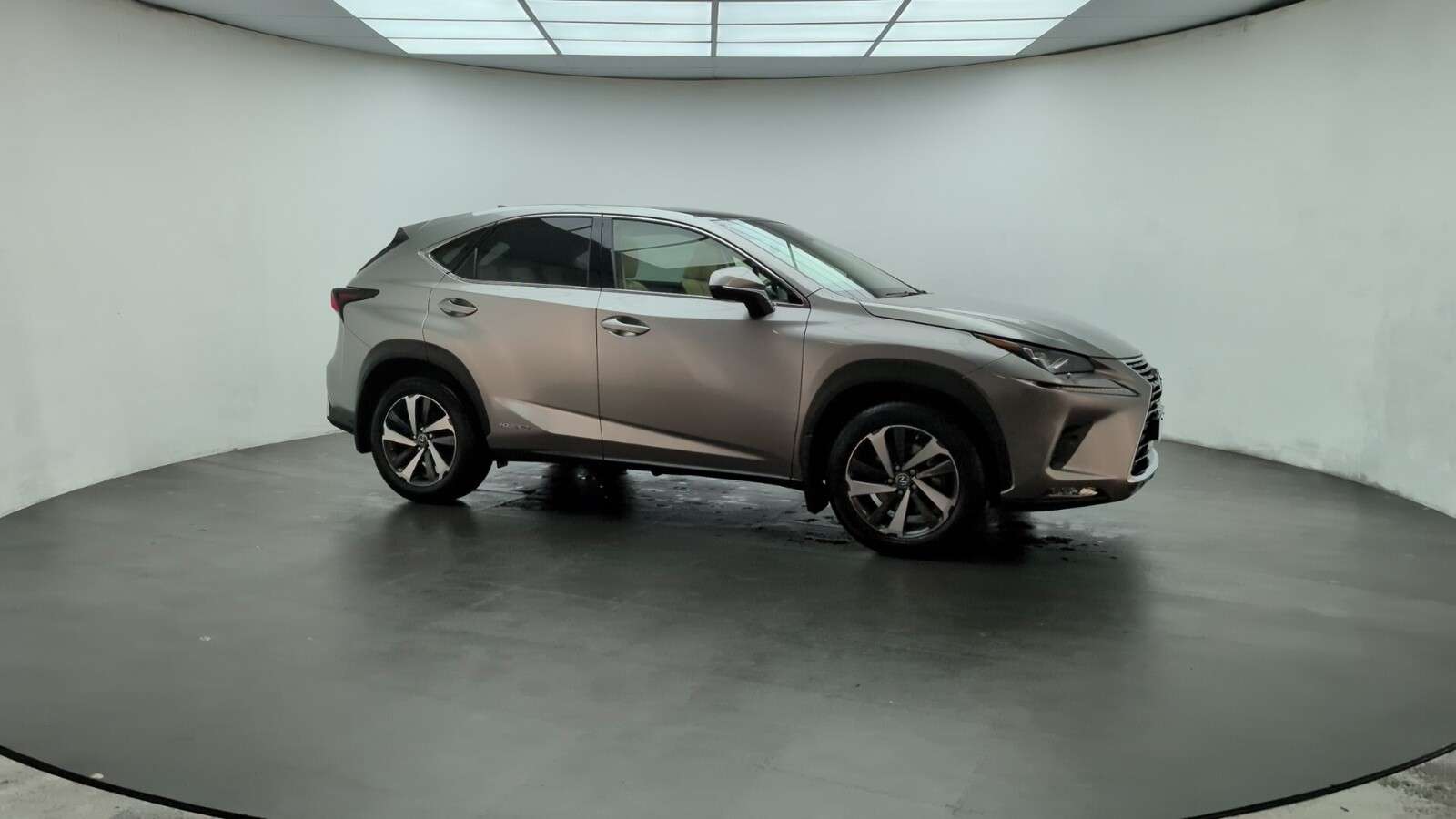 2019 LEXUS NX 2019 LEXUS NX