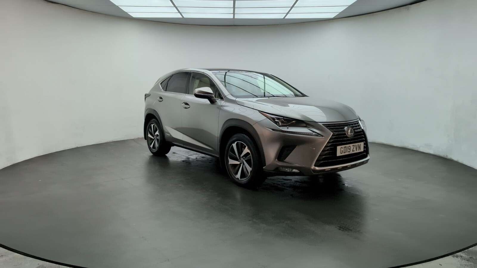 2019 LEXUS NX 2019 LEXUS NX