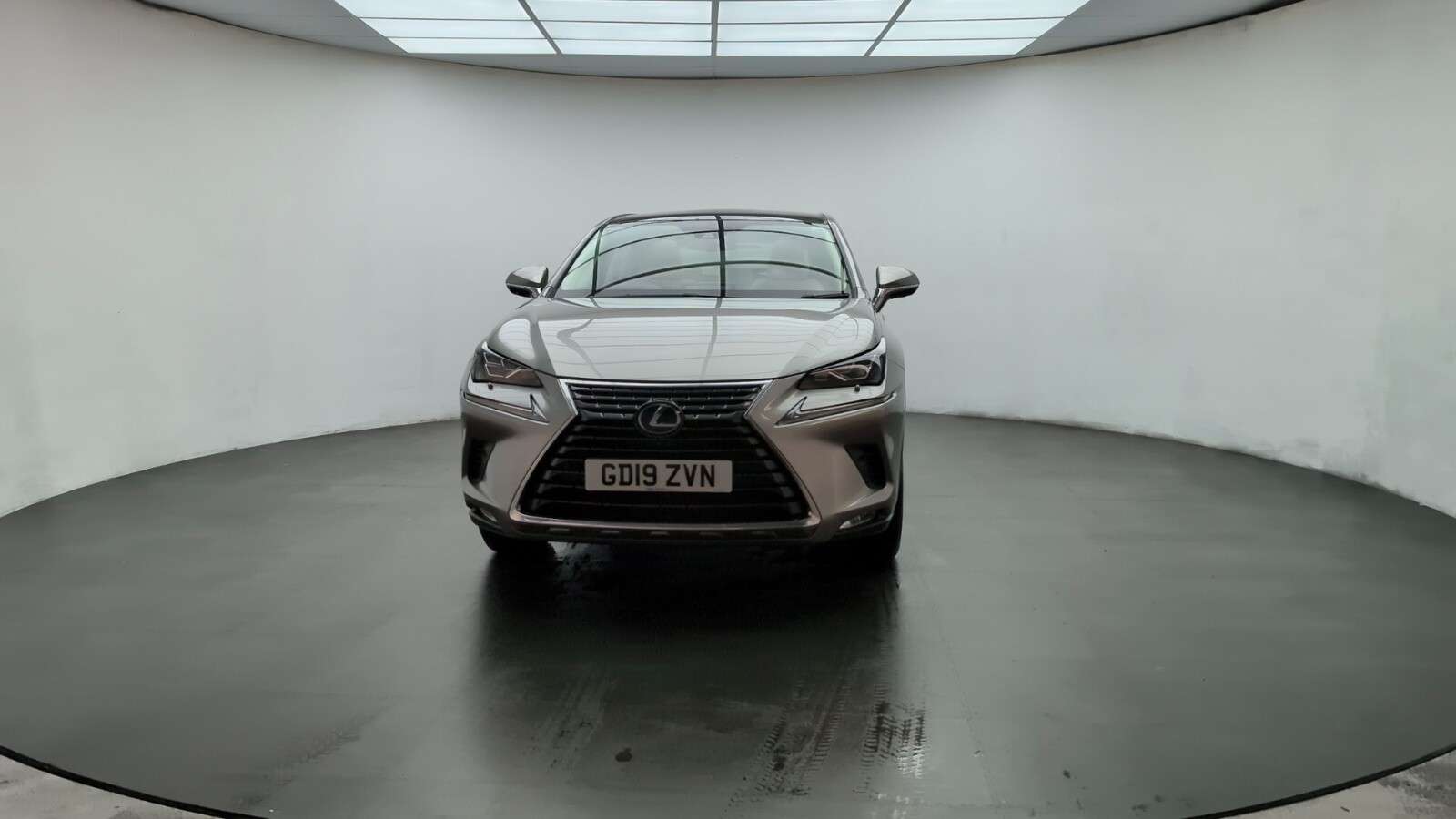 2019 LEXUS NX 2019 LEXUS NX