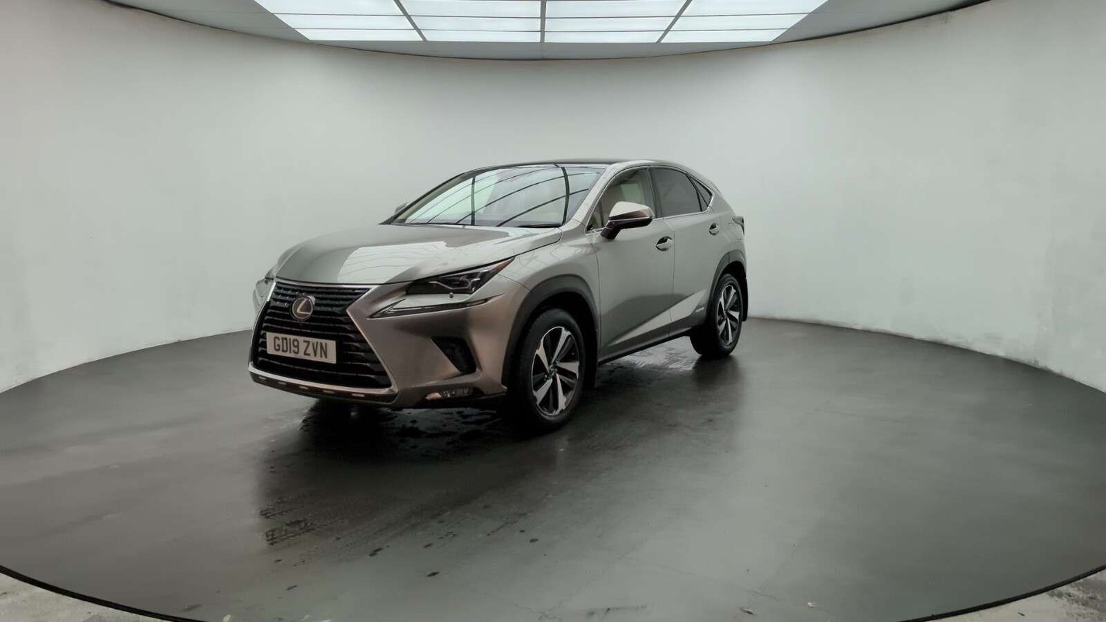 2019 LEXUS NX 2019 LEXUS NX