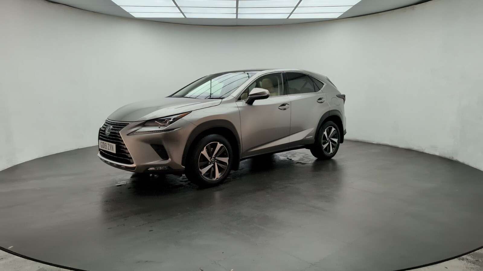 2019 LEXUS NX 2019 LEXUS NX