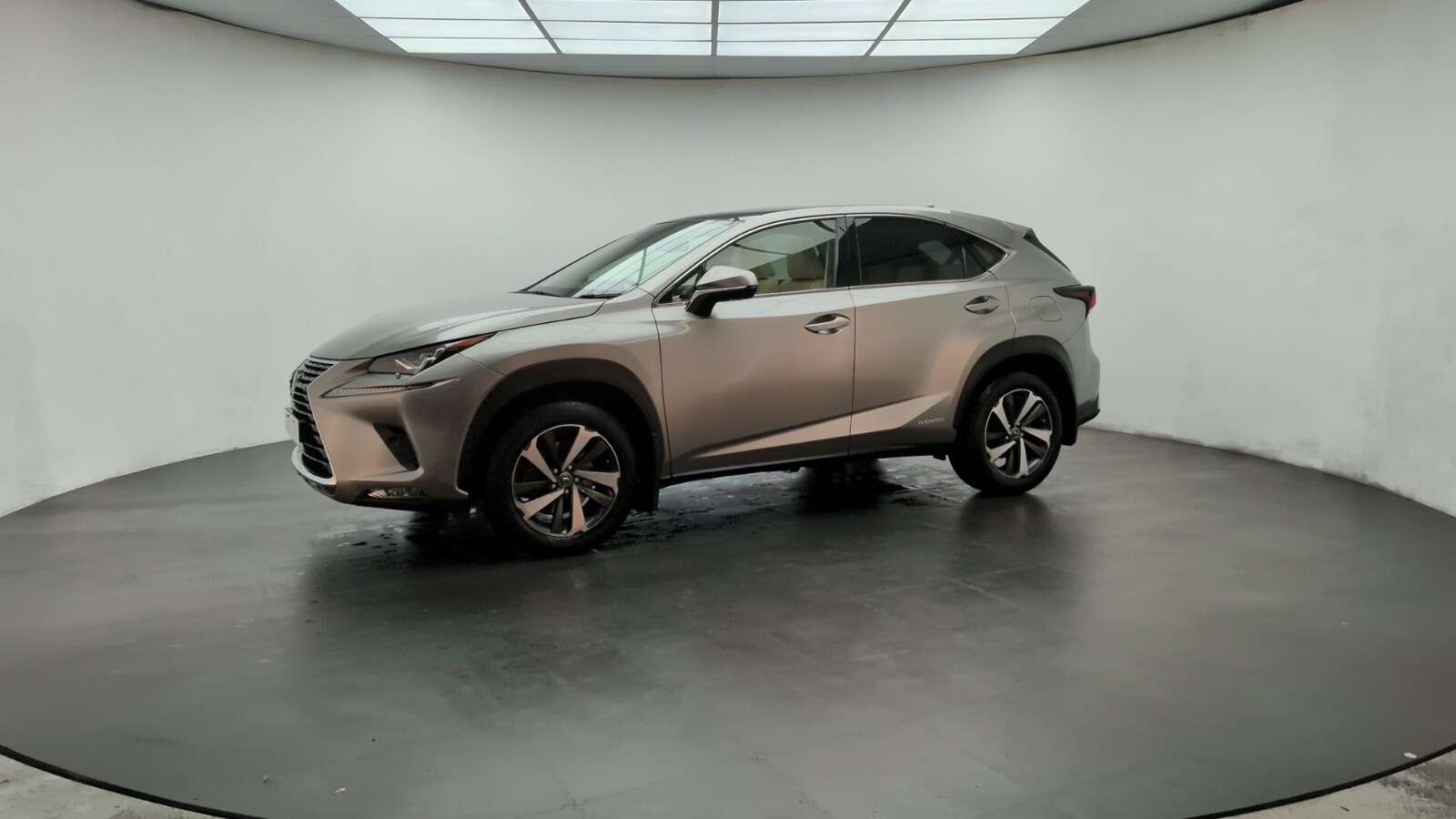 2019 LEXUS NX 2019 LEXUS NX