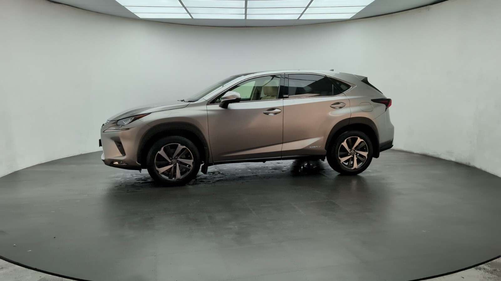 2019 LEXUS NX 2019 LEXUS NX
