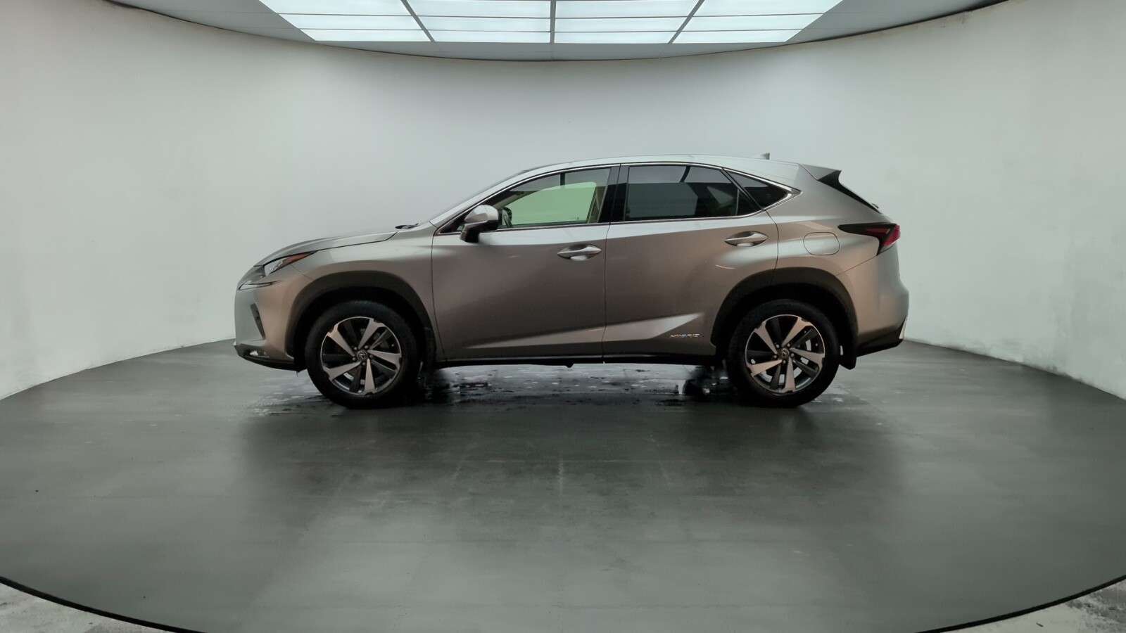 2019 LEXUS NX 2019 LEXUS NX