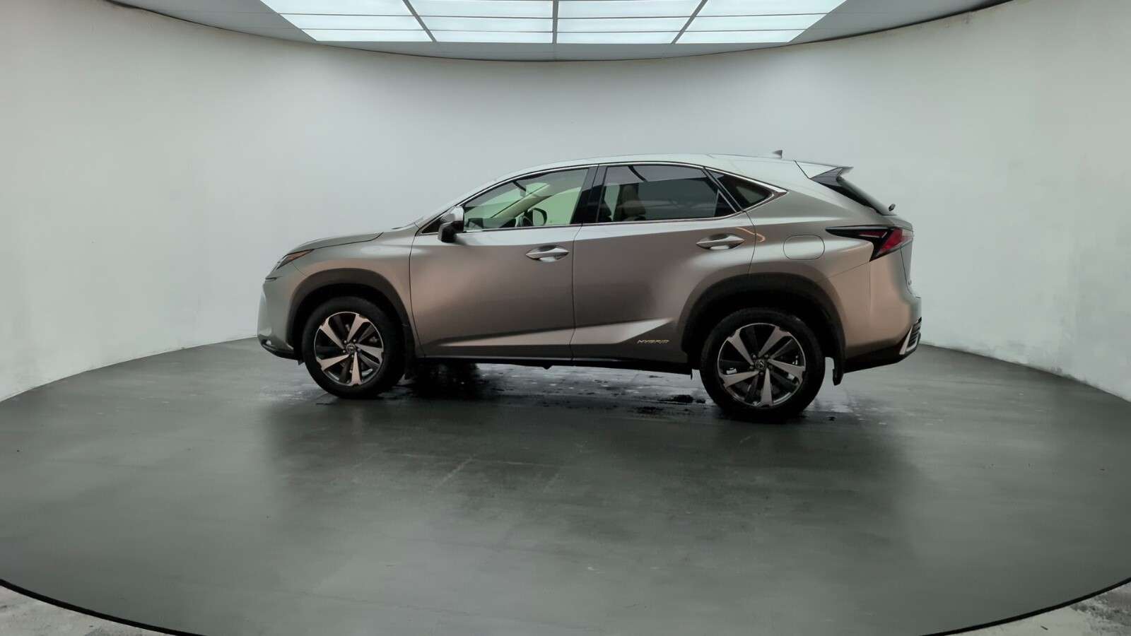 2019 LEXUS NX 2019 LEXUS NX