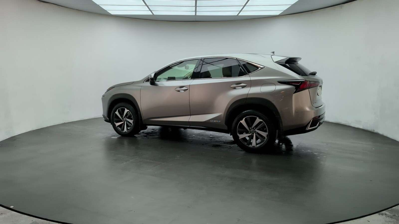 2019 LEXUS NX 2019 LEXUS NX
