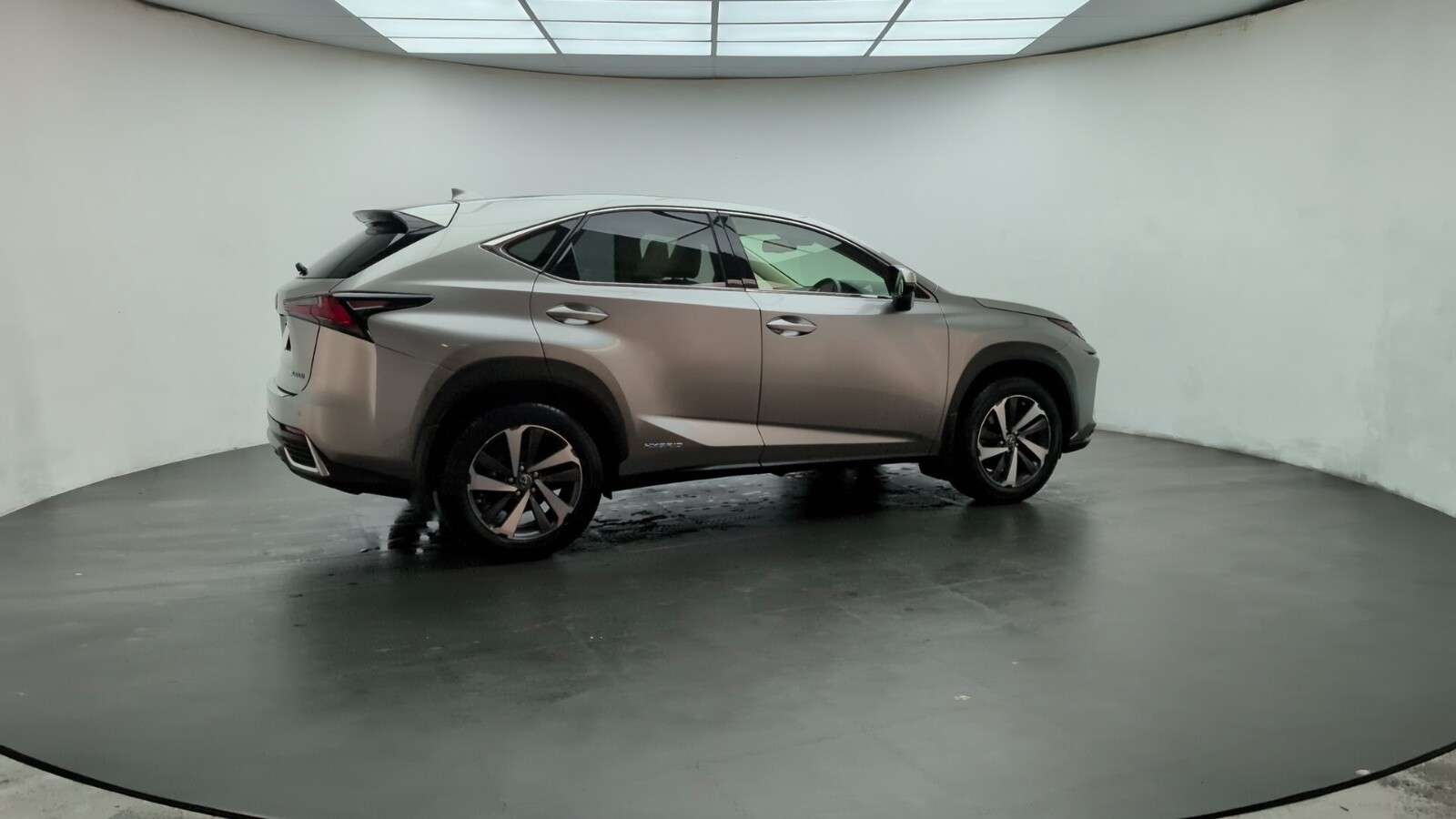 2019 LEXUS NX 2019 LEXUS NX