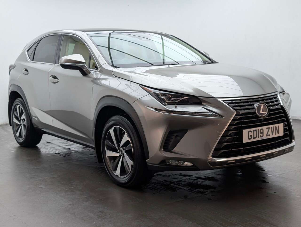 2019 LEXUS NX 2019 LEXUS NX