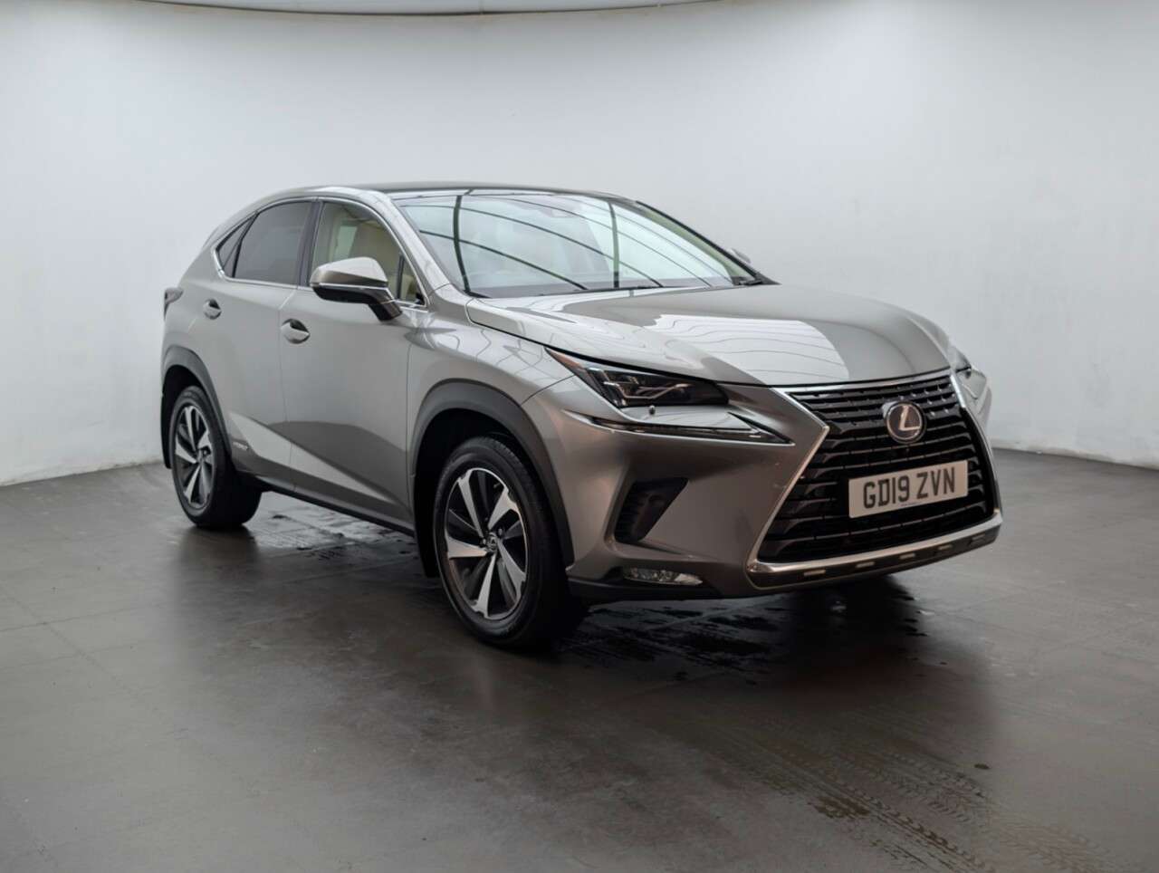 2019 LEXUS NX 2019 LEXUS NX