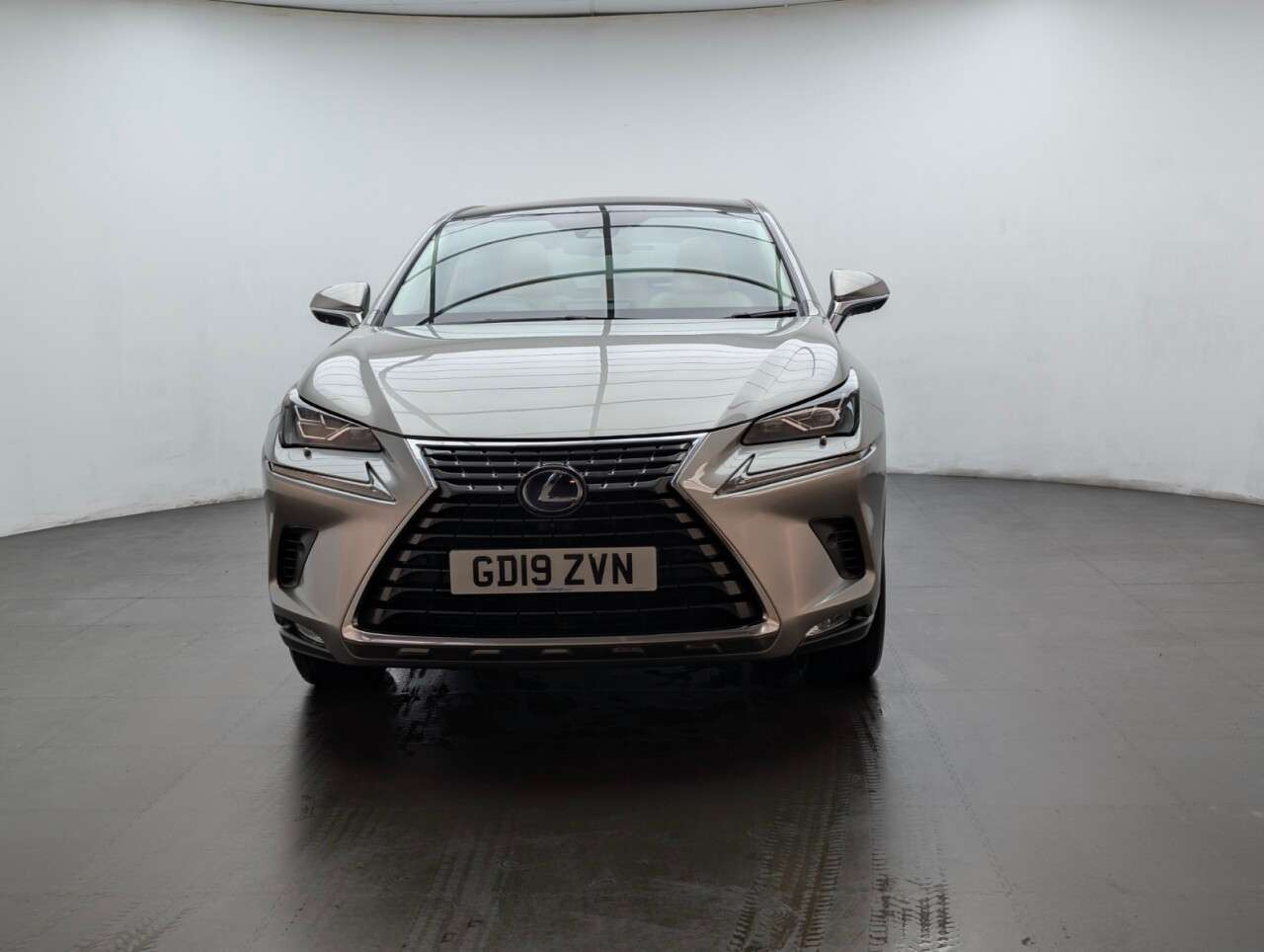 2019 LEXUS NX 2019 LEXUS NX
