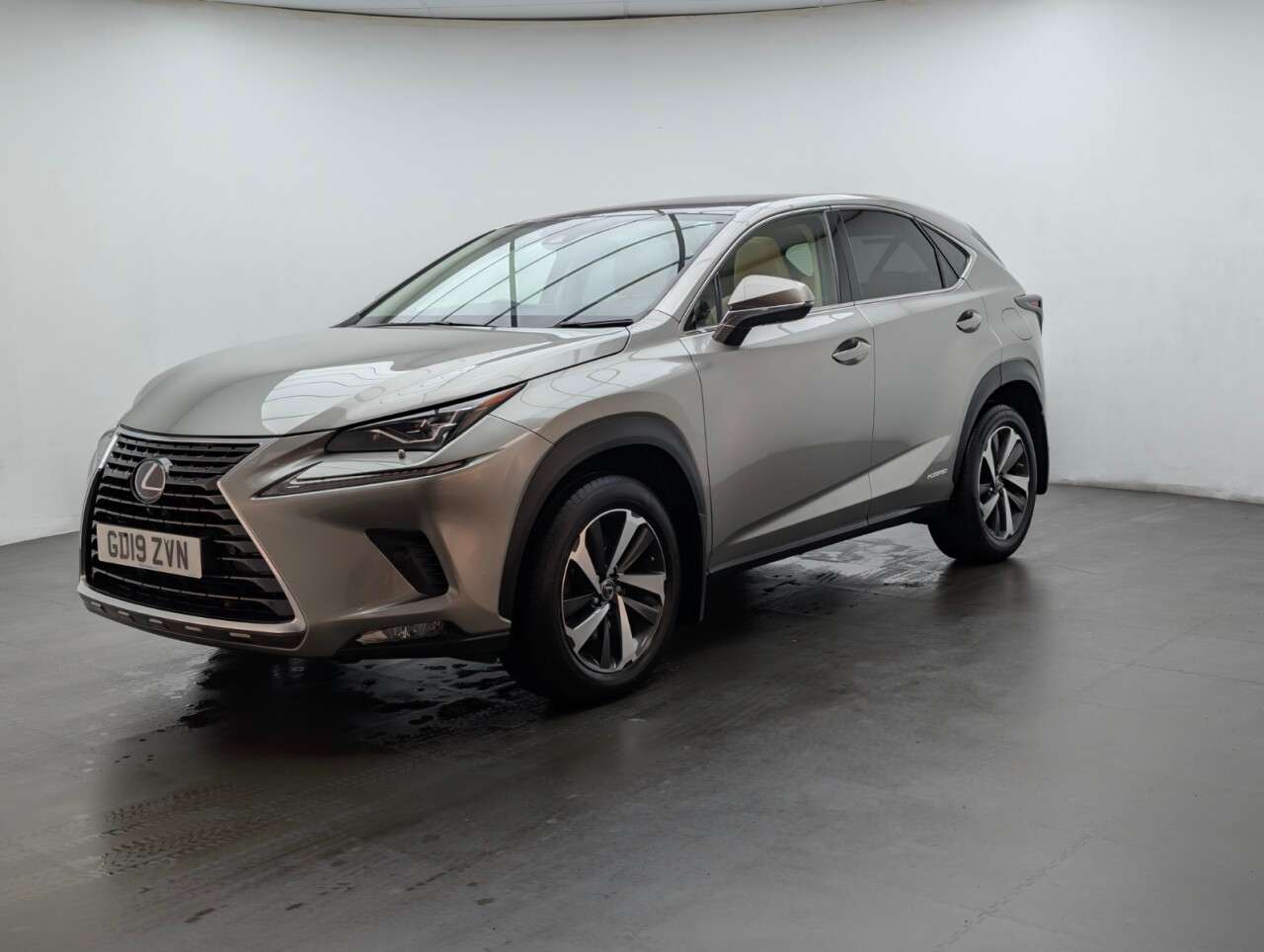 2019 LEXUS NX 2019 LEXUS NX