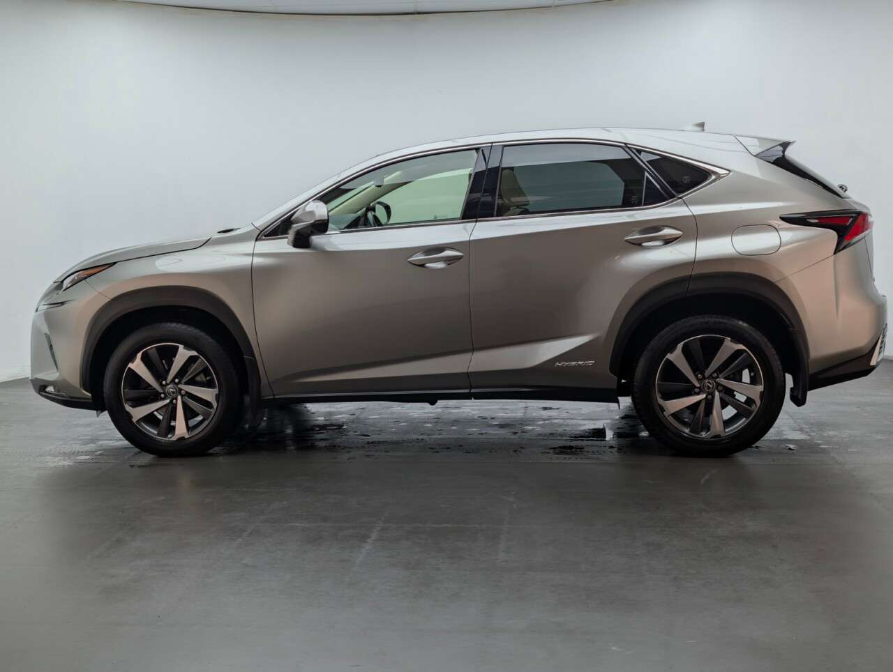 2019 LEXUS NX 2019 LEXUS NX
