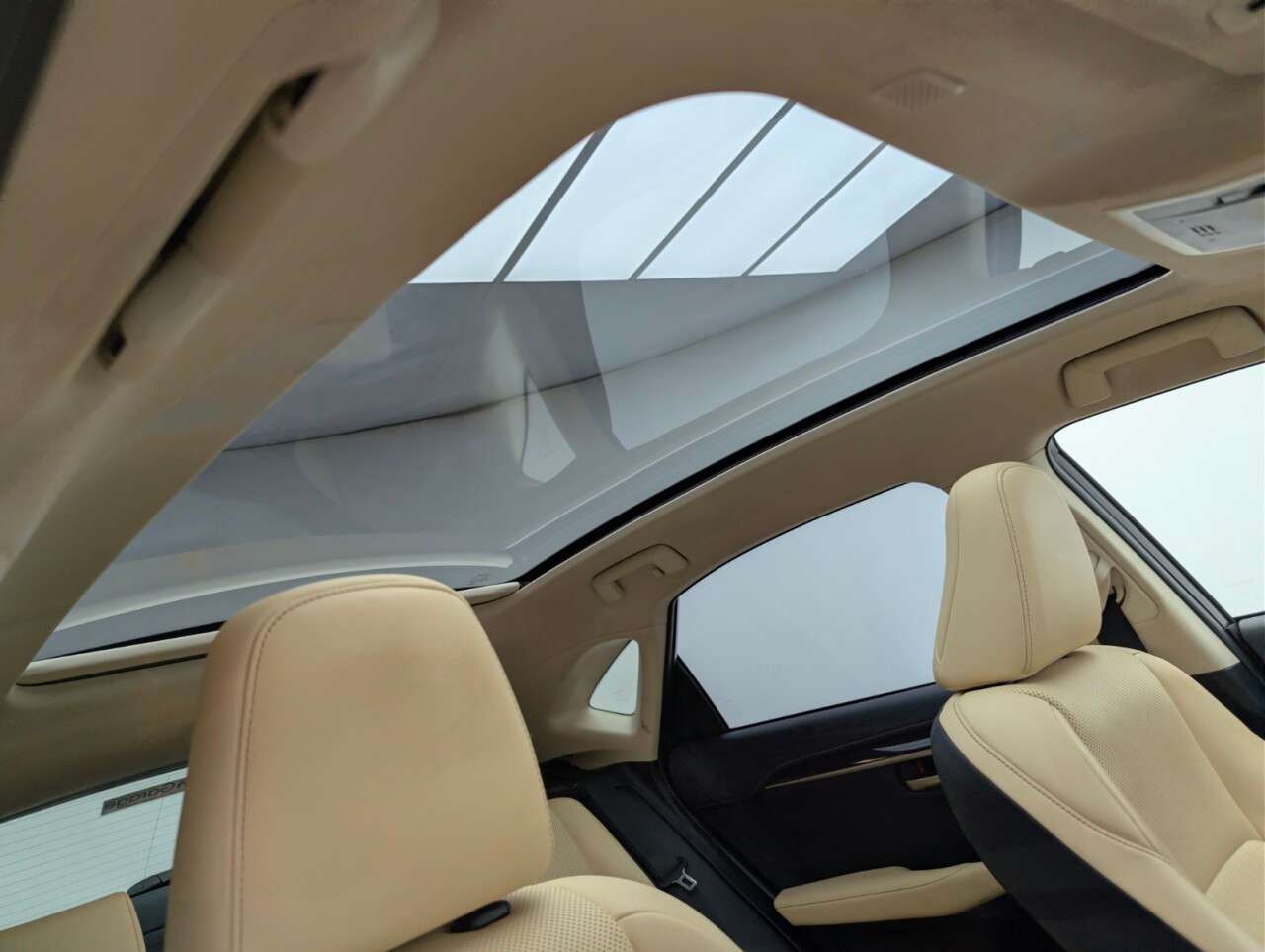 2019 LEXUS NX 2019 LEXUS NX