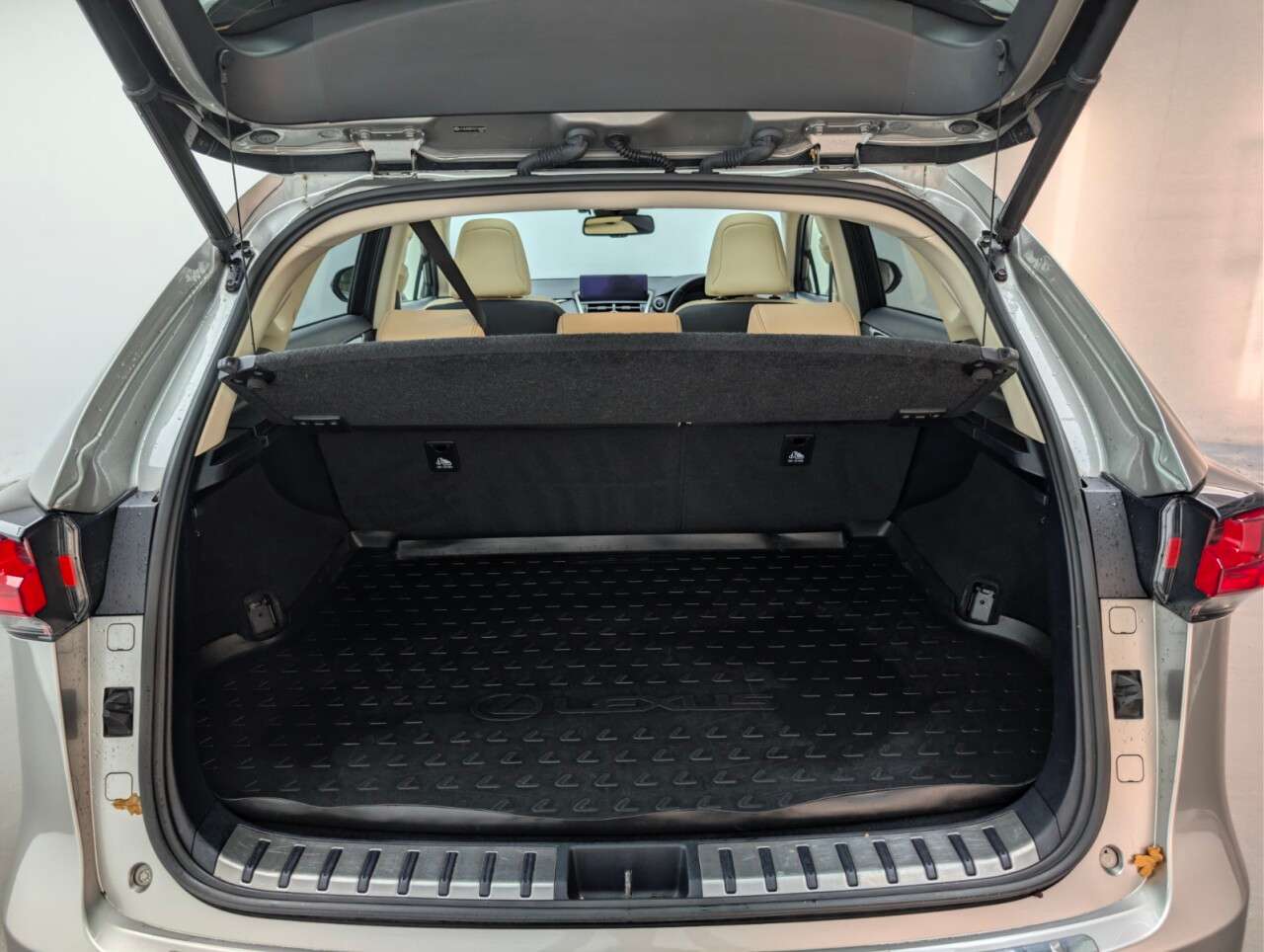 2019 LEXUS NX 2019 LEXUS NX