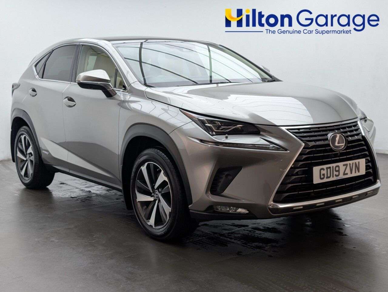 2019 LEXUS NX 2019 LEXUS NX