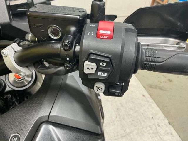 2025 HONDA CRF 1100 D-P 2025 HONDA CRF 1100 D-P