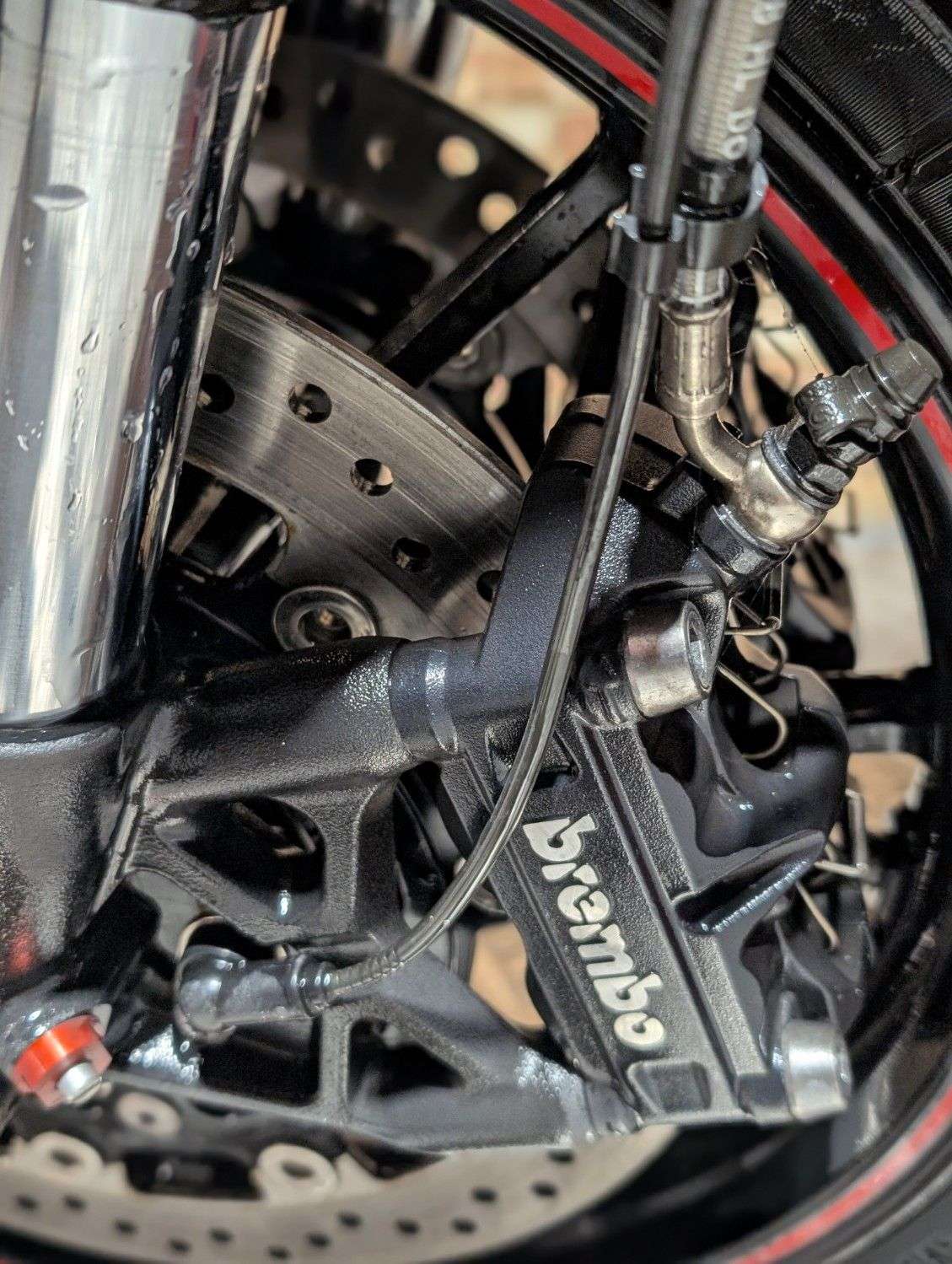 2015 TRIUMPH SPEED TRIPLE 1050 2015 TRIUMPH SPEED TRIPLE 1050