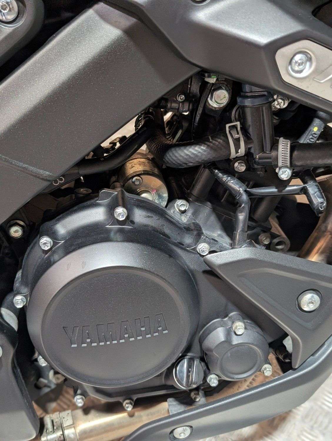 2024 YAMAHA MT-125 2024 YAMAHA MT-125
