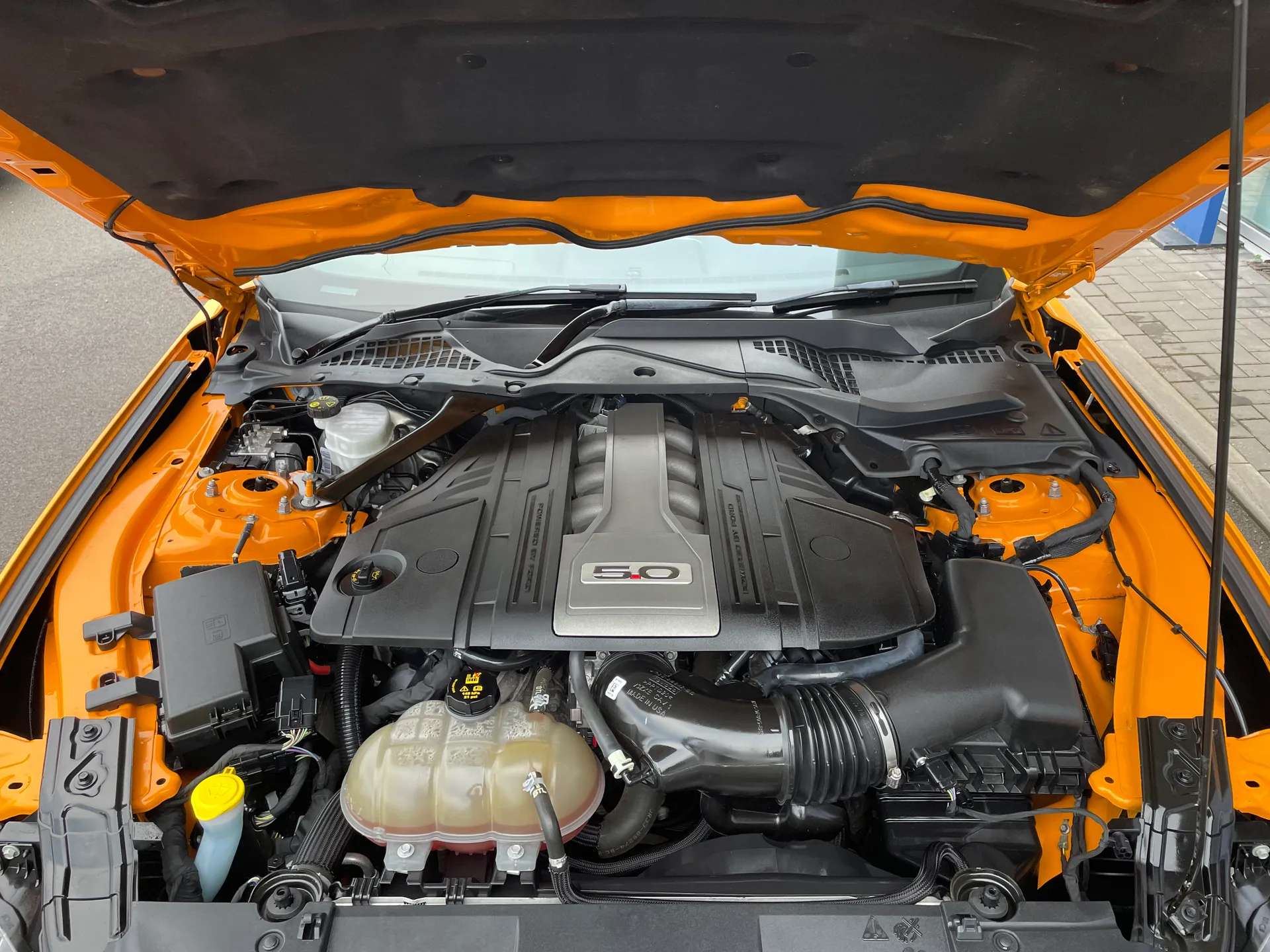 2019 FORD MUSTANG 2019 FORD MUSTANG