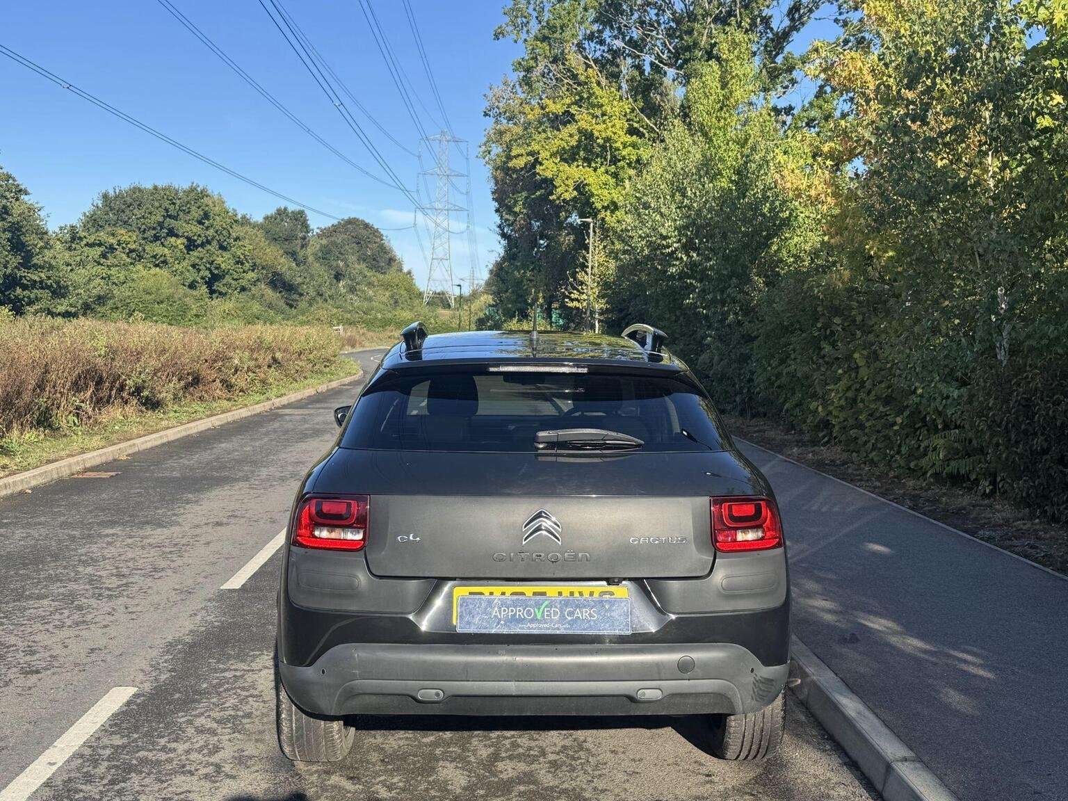 2015 CITROEN C4 CACTUS 2015 CITROEN C4 CACTUS