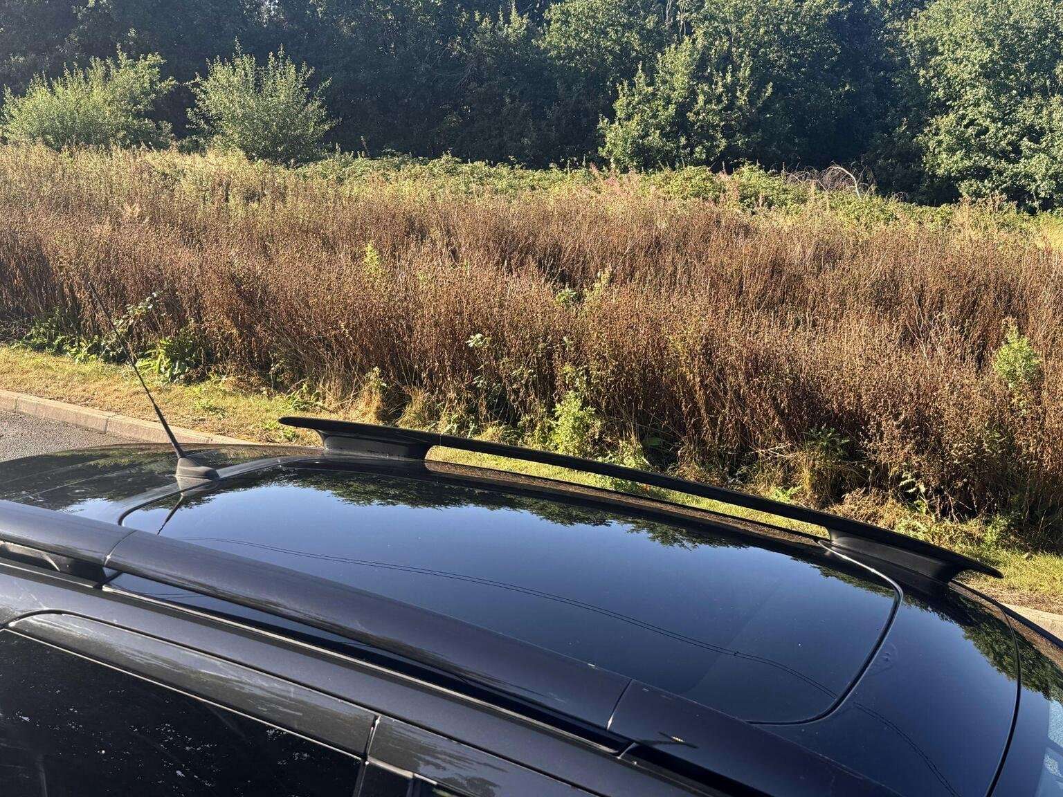 2015 CITROEN C4 CACTUS 2015 CITROEN C4 CACTUS