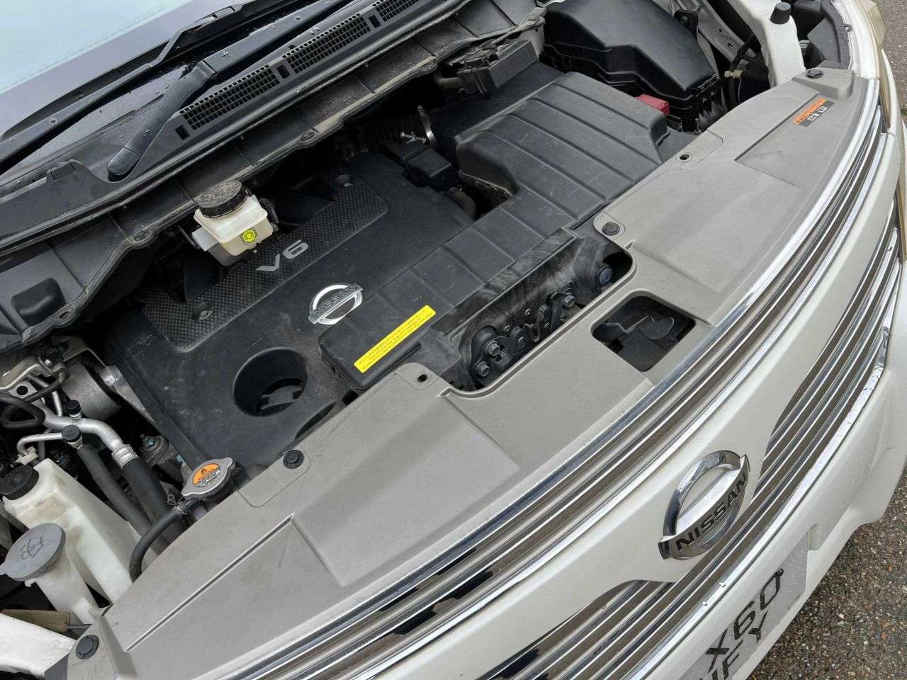 2010 NISSAN ELGRAND 2010 NISSAN ELGRAND