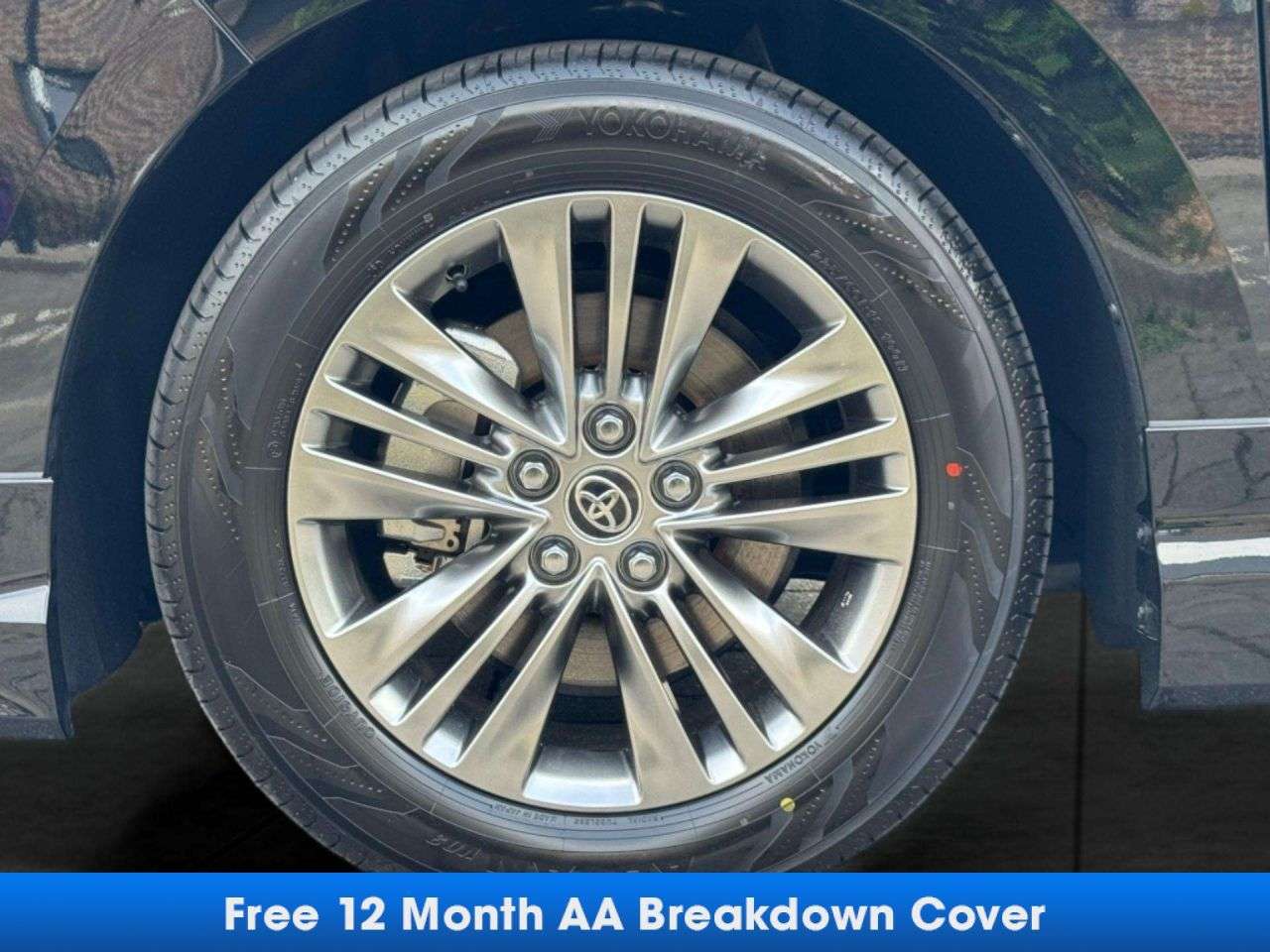 null TOYOTA ALPHARD null TOYOTA ALPHARD