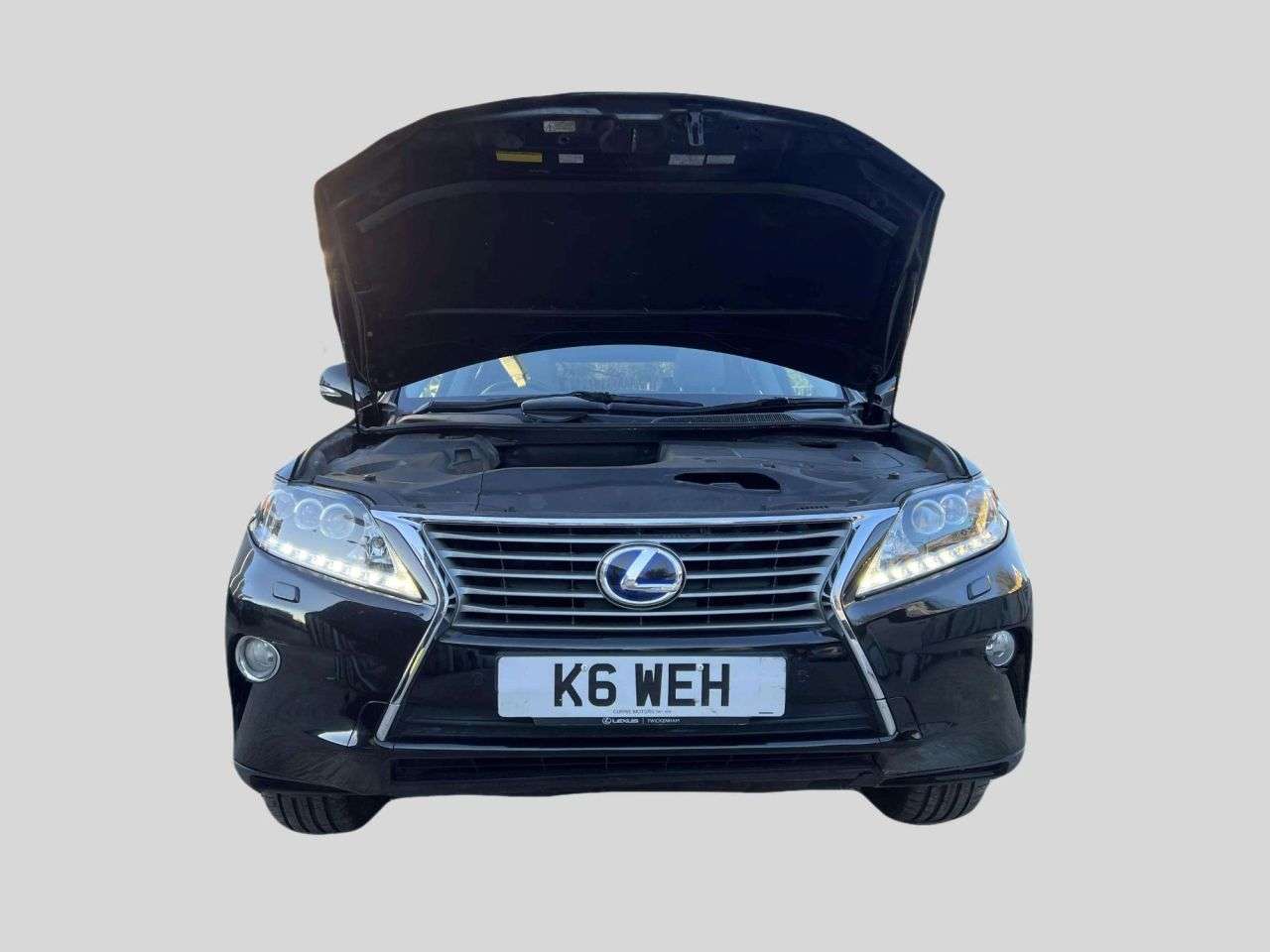 2013 LEXUS RX 2013 LEXUS RX