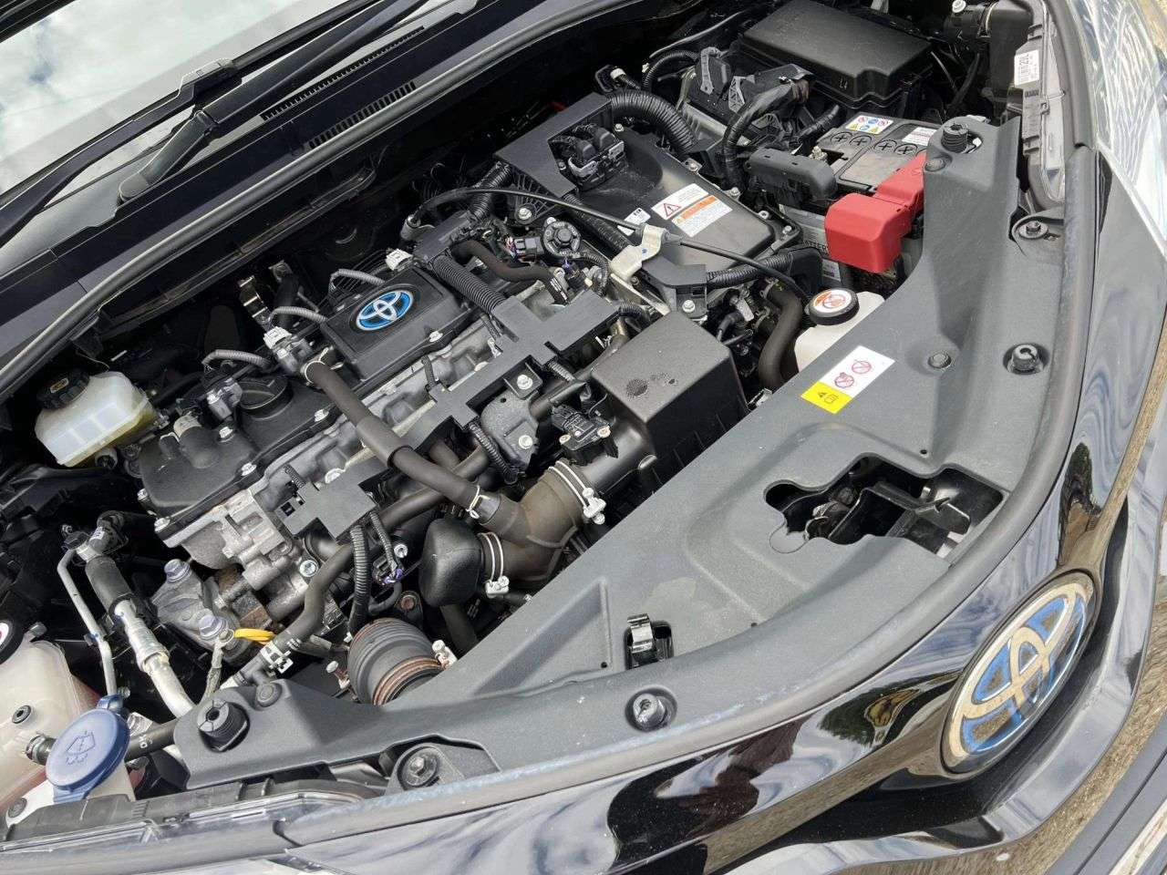 2020 TOYOTA C-HR 2020 TOYOTA C-HR