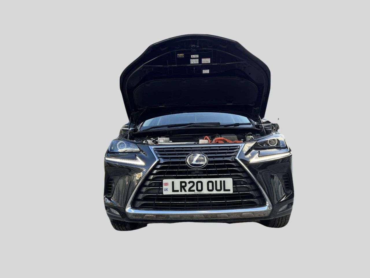 2020 LEXUS NX 2020 LEXUS NX