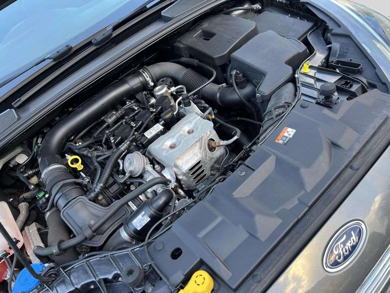 2017 FORD FOCUS 2017 FORD FOCUS