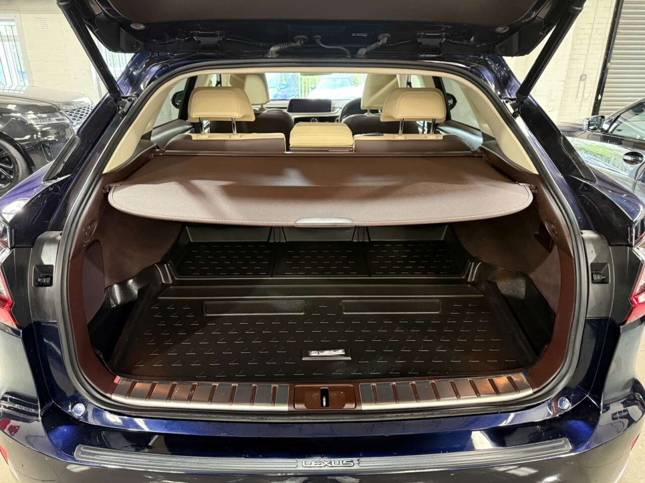 2019 LEXUS RX 2019 LEXUS RX