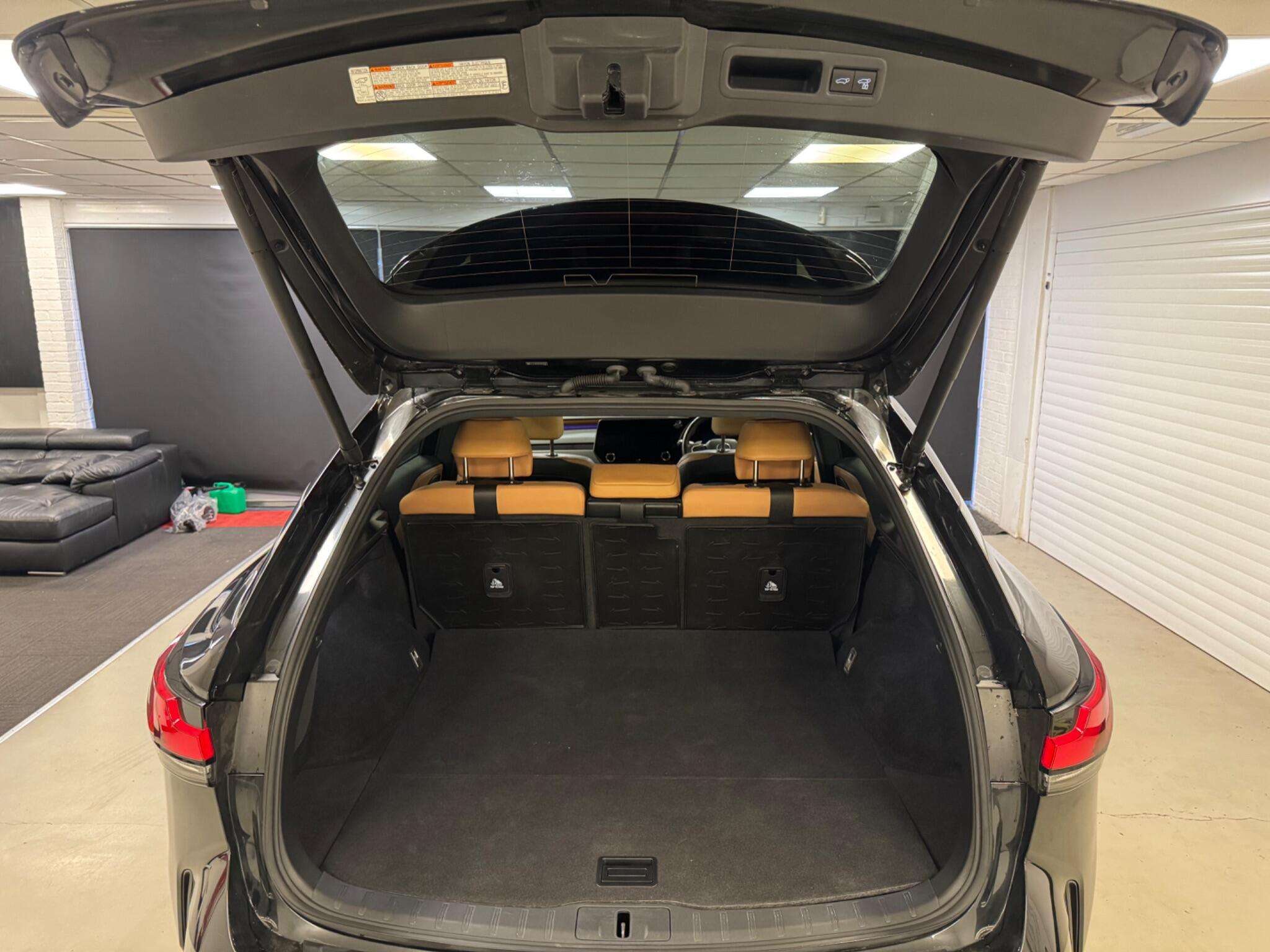 2024 LEXUS RX 2024 LEXUS RX