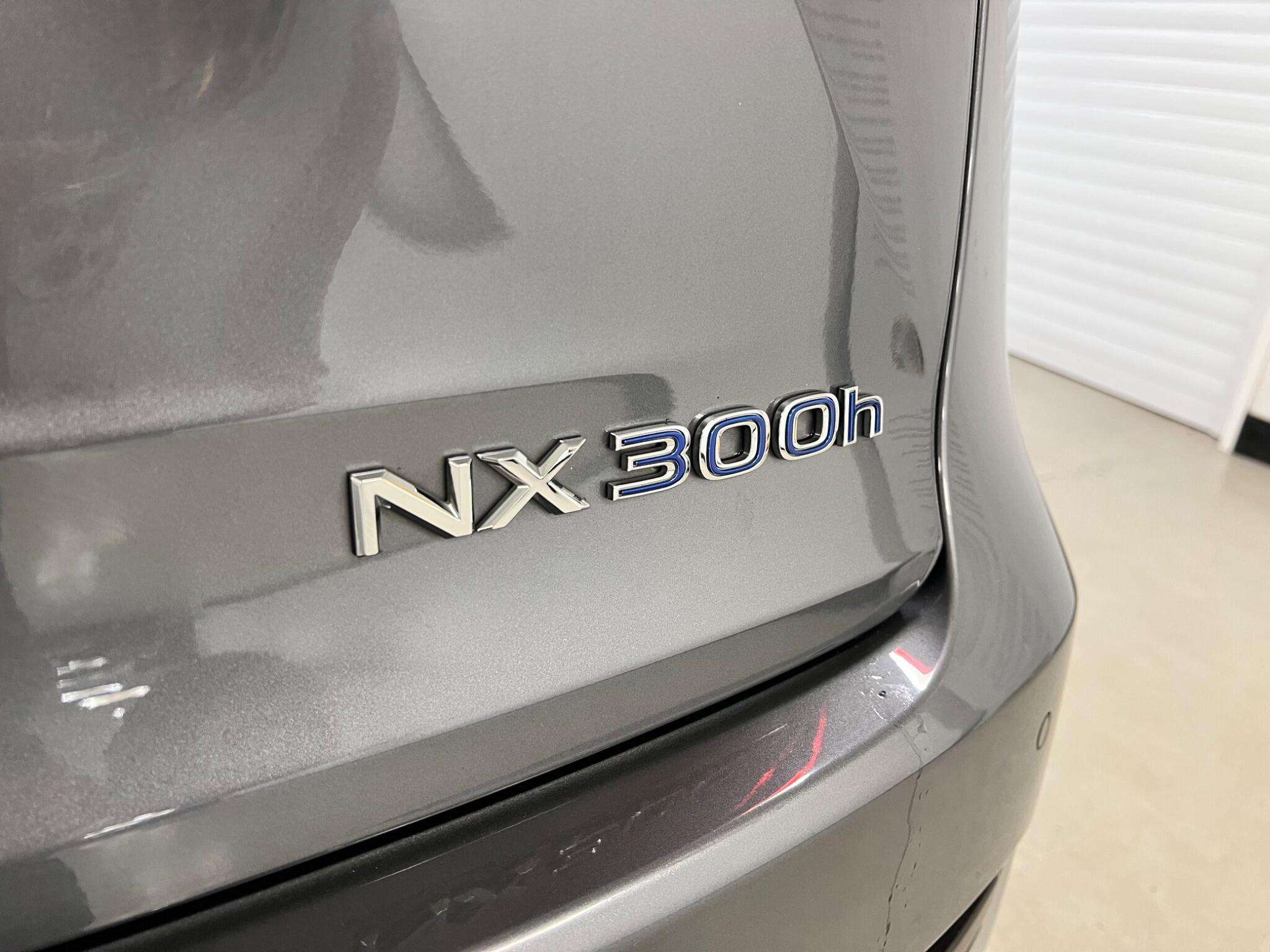 2020 LEXUS NX 2020 LEXUS NX