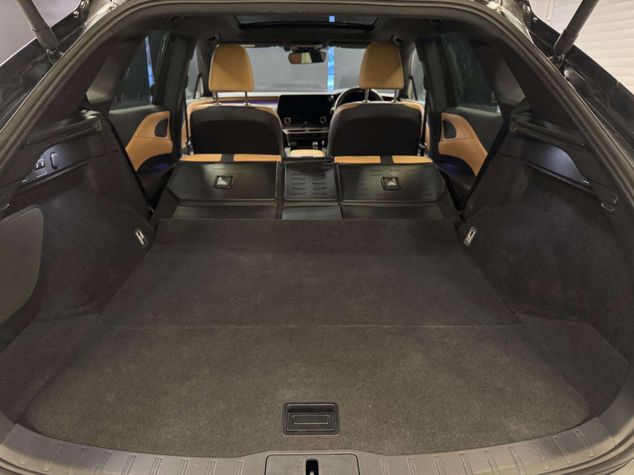 2024 LEXUS RX 2024 LEXUS RX