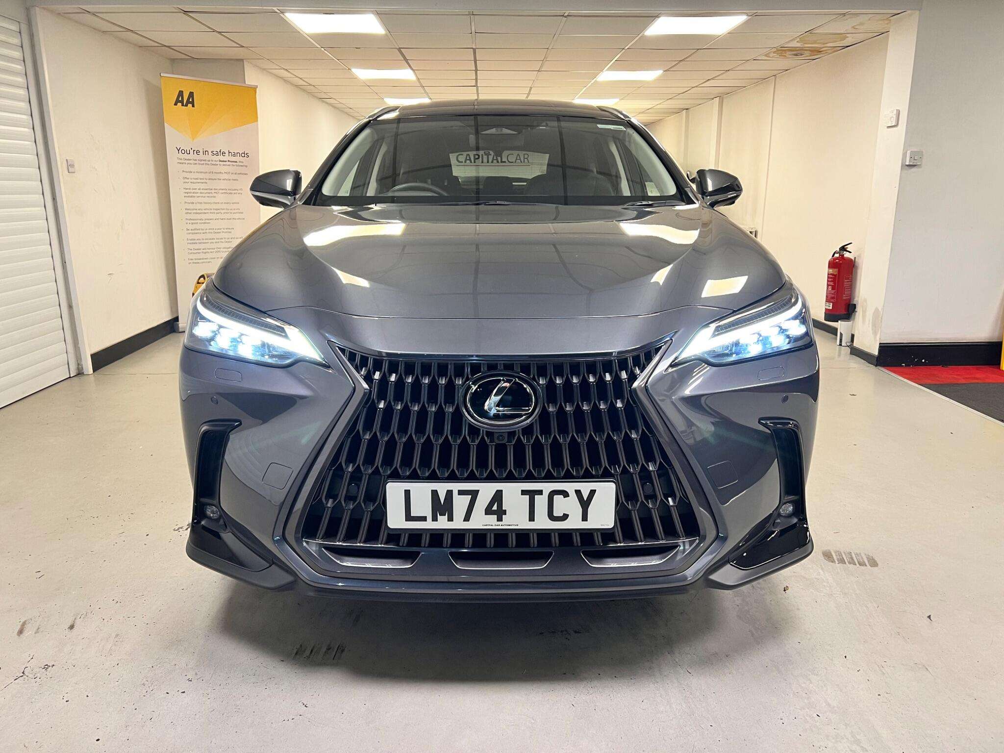 2024 LEXUS NX 2024 LEXUS NX