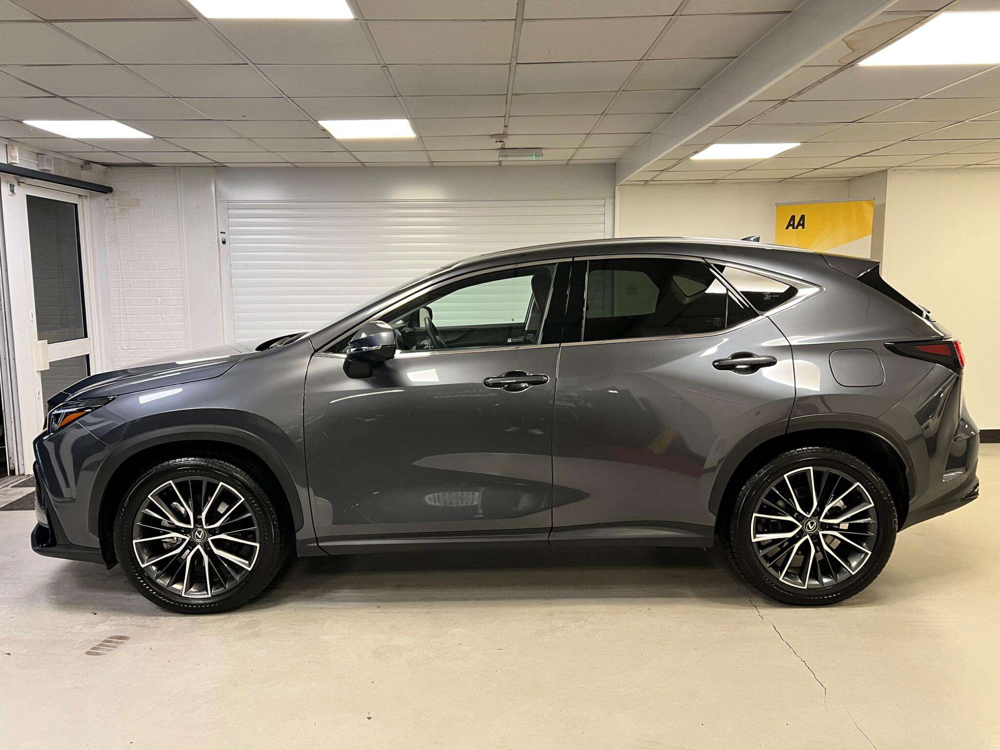 2024 LEXUS NX 2024 LEXUS NX